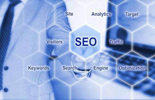 Organic SEO2